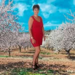 jaradeviaje profile picture