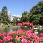 jardinjapones profile picture