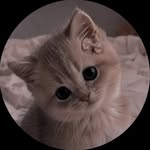 jashnosh profile picture