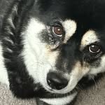 jaslyns__ profile picture