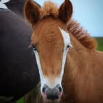 jasonfarrer profile picture