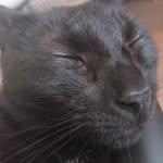 jason_somf profile picture