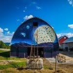 jasperhillfarm profile picture