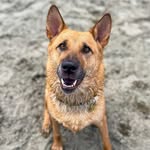 jasperkotao profile picture