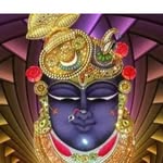 jatin.mehta.527079 profile picture