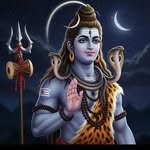 jawan__man profile picture