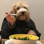 jaxman__1 profile picture
