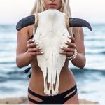 jay_jayswim profile picture