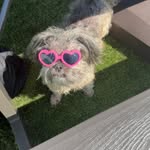 jazmineabree profile picture