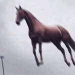 jazzmynejay profile picture