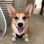 jcarry2018 profile picture
