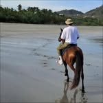 jeanphilippea_ profile picture