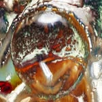 jean_vincent.simonet profile picture