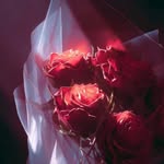jebakhan_72 profile picture