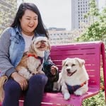 jeditheshihtzu profile picture
