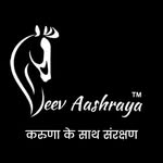 jeevaashraya_foundation profile picture