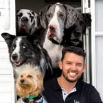 jeieldelosperros profile picture