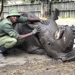 jemu_mwenda profile picture