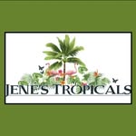 jenes_tropicals profile picture