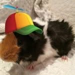 jennifersuncrest profile picture