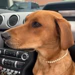 jenny_hartman profile picture