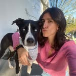 jenpetel profile picture