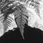 jeromegalland profile picture