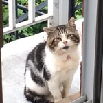 jerry_the_feral profile picture