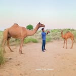 jesani_thar_desert profile picture
