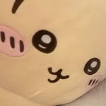 jesmina.runu profile picture
