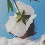 jessechamberlinmarble profile picture