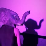 jessiebfilms profile picture