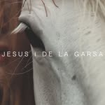 jesusdelagarsa profile picture