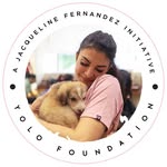 jf.yolofoundation profile picture