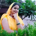 jhanvinehlwan profile picture