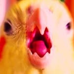 jil.otto profile picture