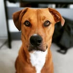 jimposing profile picture