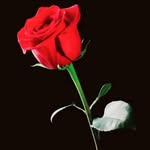 jindgi_de_sach_ profile picture