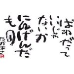 jintengxiaozheng profile picture