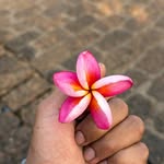 jithil_rc profile picture