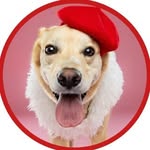 jiyathejollybeauty profile picture
