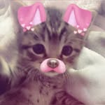 jjodellem profile picture