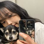 jju.zero profile picture