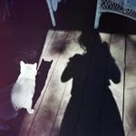 jkittymeow profile picture