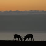 jkphotxgraphy profile picture