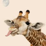 jlwynnn profile picture