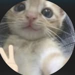 jlxf.97 profile picture