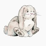 jmu_bunny profile picture