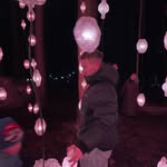 joacimcorell profile picture