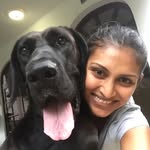 joannfrnandz profile picture